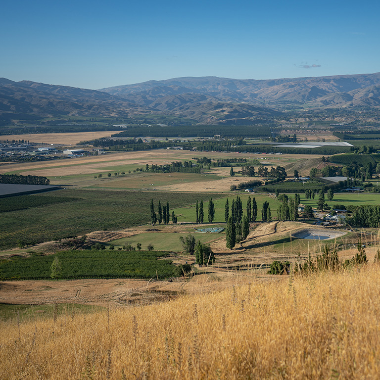 Shannon Farm Project Gallery Image 1